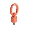 Wartel-oogbout Wartel-oogbout-800-van-gool-verhuur